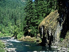 Steelhead Pool, Umpqua River, Oregon